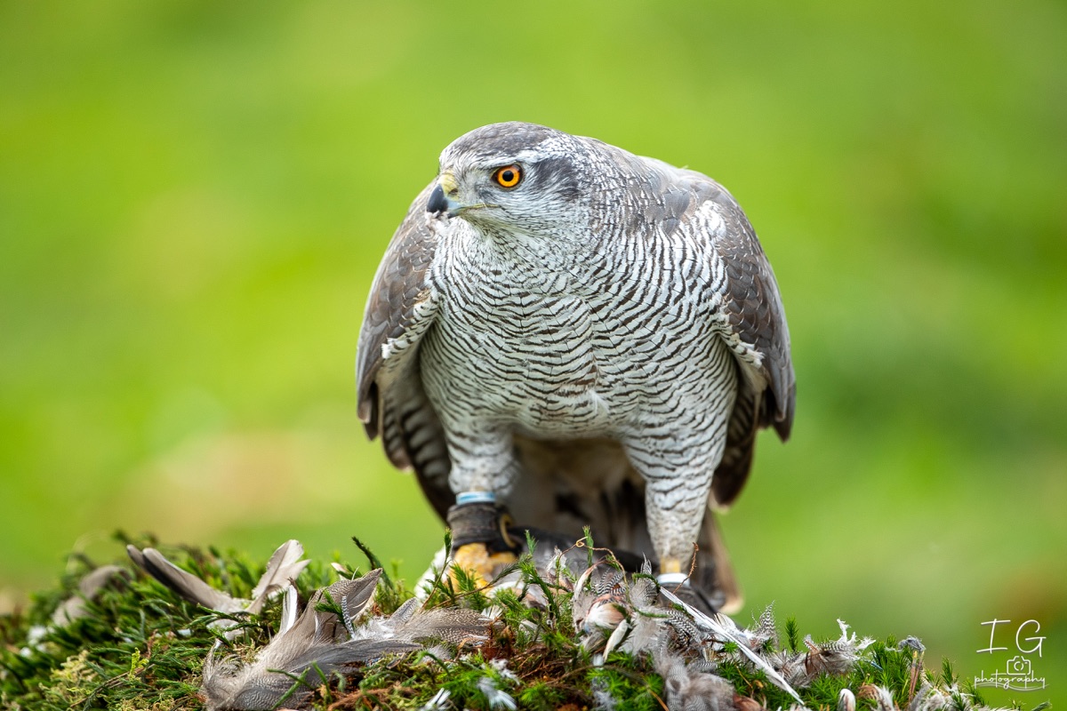 AK6I1443 31 oktober 2021 1458 30